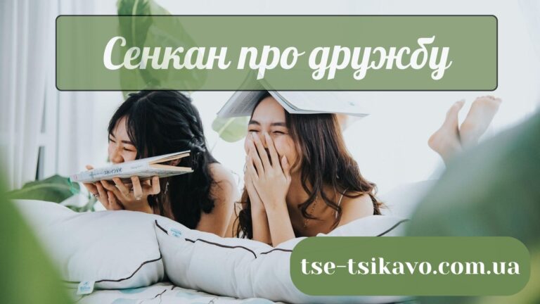 сенкан до слова дружба