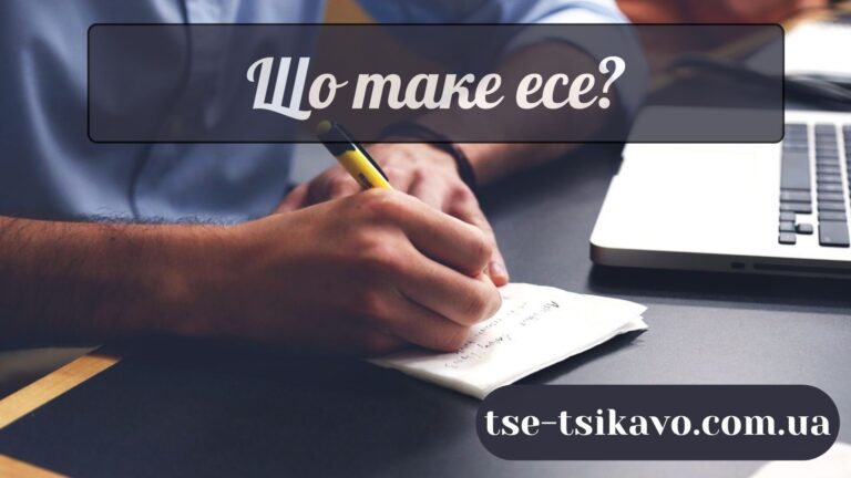 що таке есе