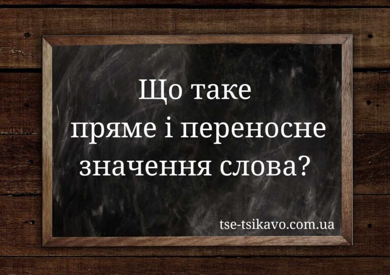 пряме і переносне значення слова