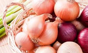 голандська цибуля сіянка фото 3