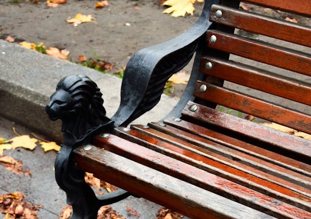 цікаві факти про львів фото 2