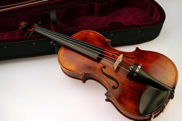 цікаві факти про музичні інструменти