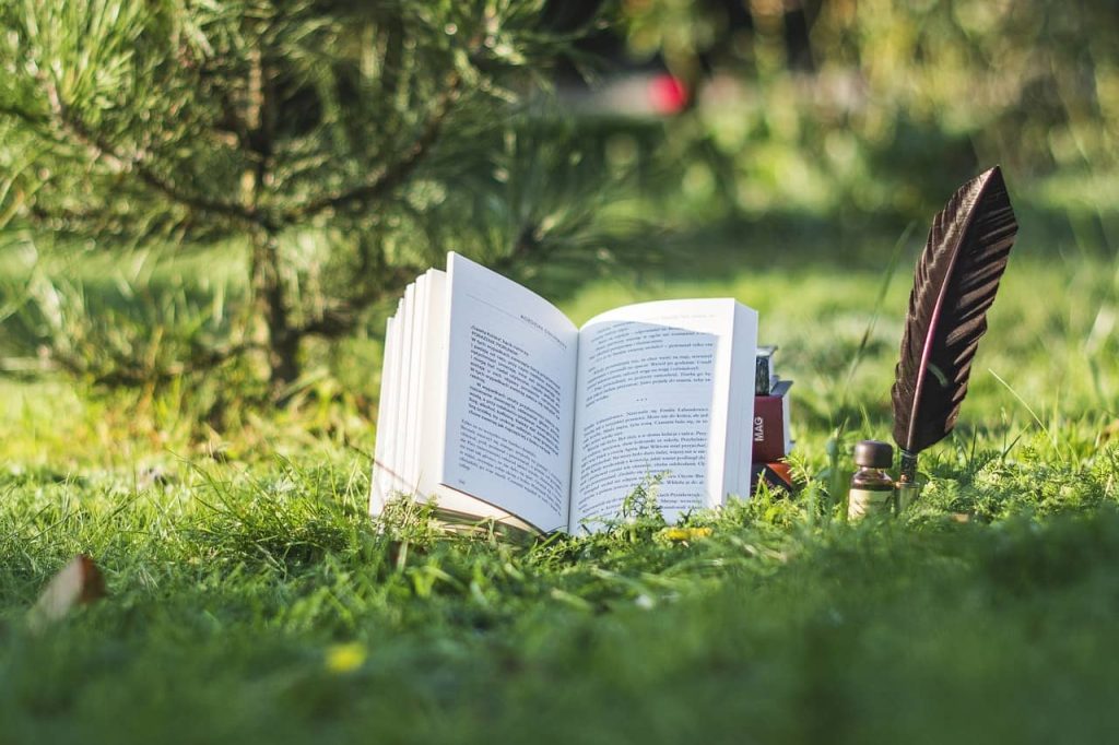 топ 5 книг про пригоди для підлітків фото 2