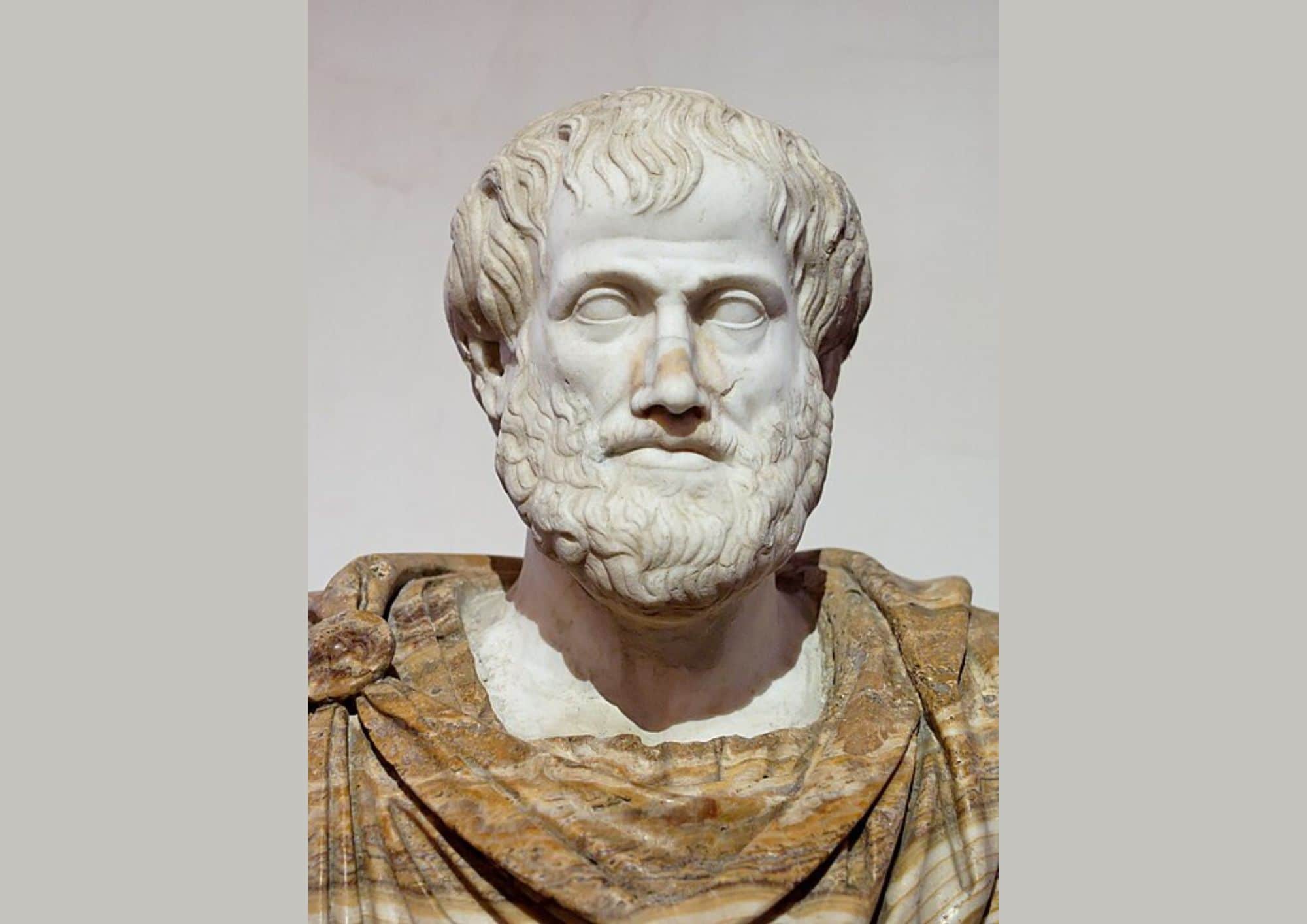 цікаві факти про арістотеля