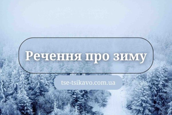 речення про зиму
