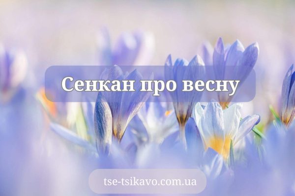 сенкан до слова весна