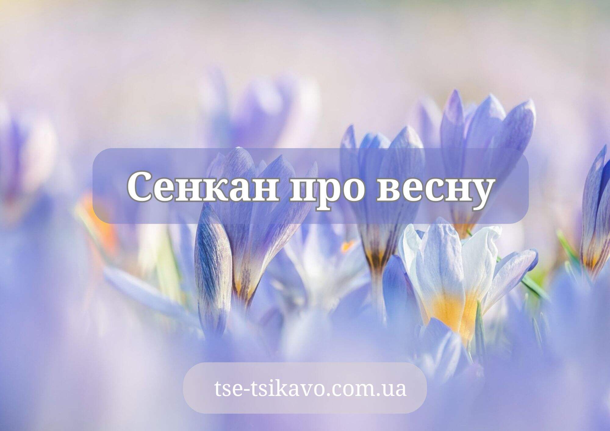 сенкан до слова весна