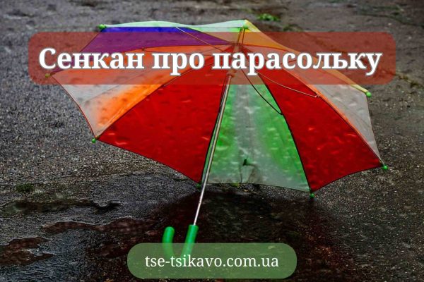 сенкан про парасольку