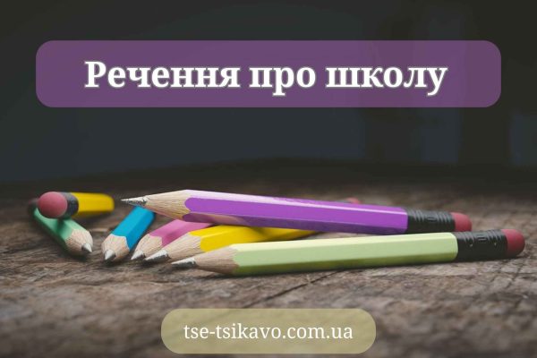 речення про школу