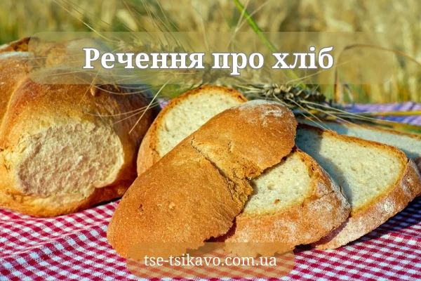 речення про хліб