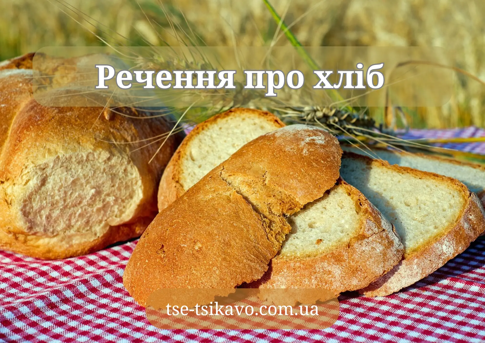 речення про хліб