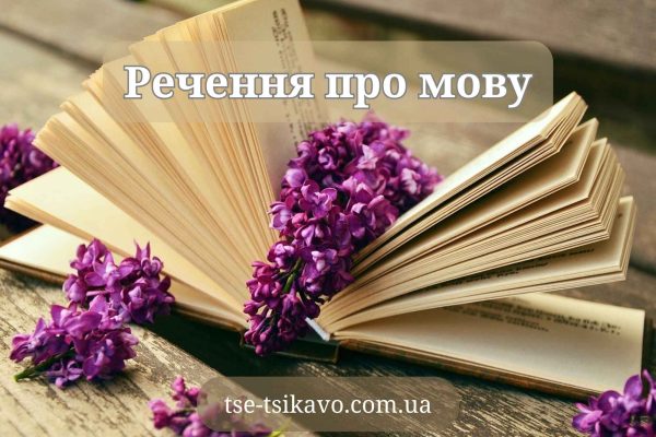 речення про мову