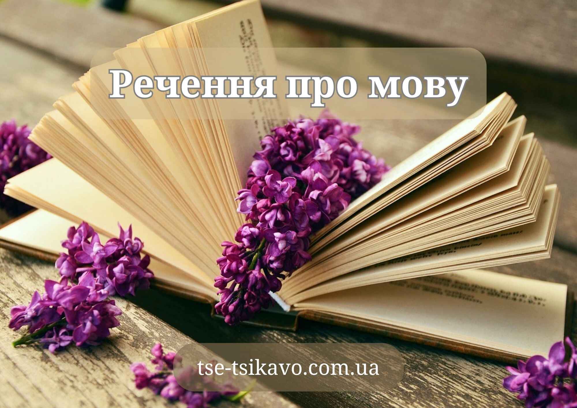 речення про мову