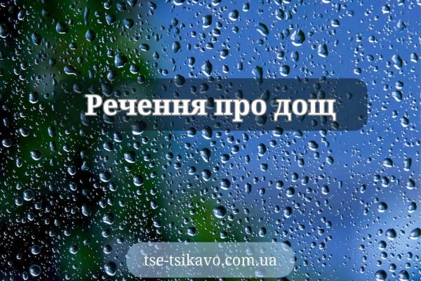 речення про дощ