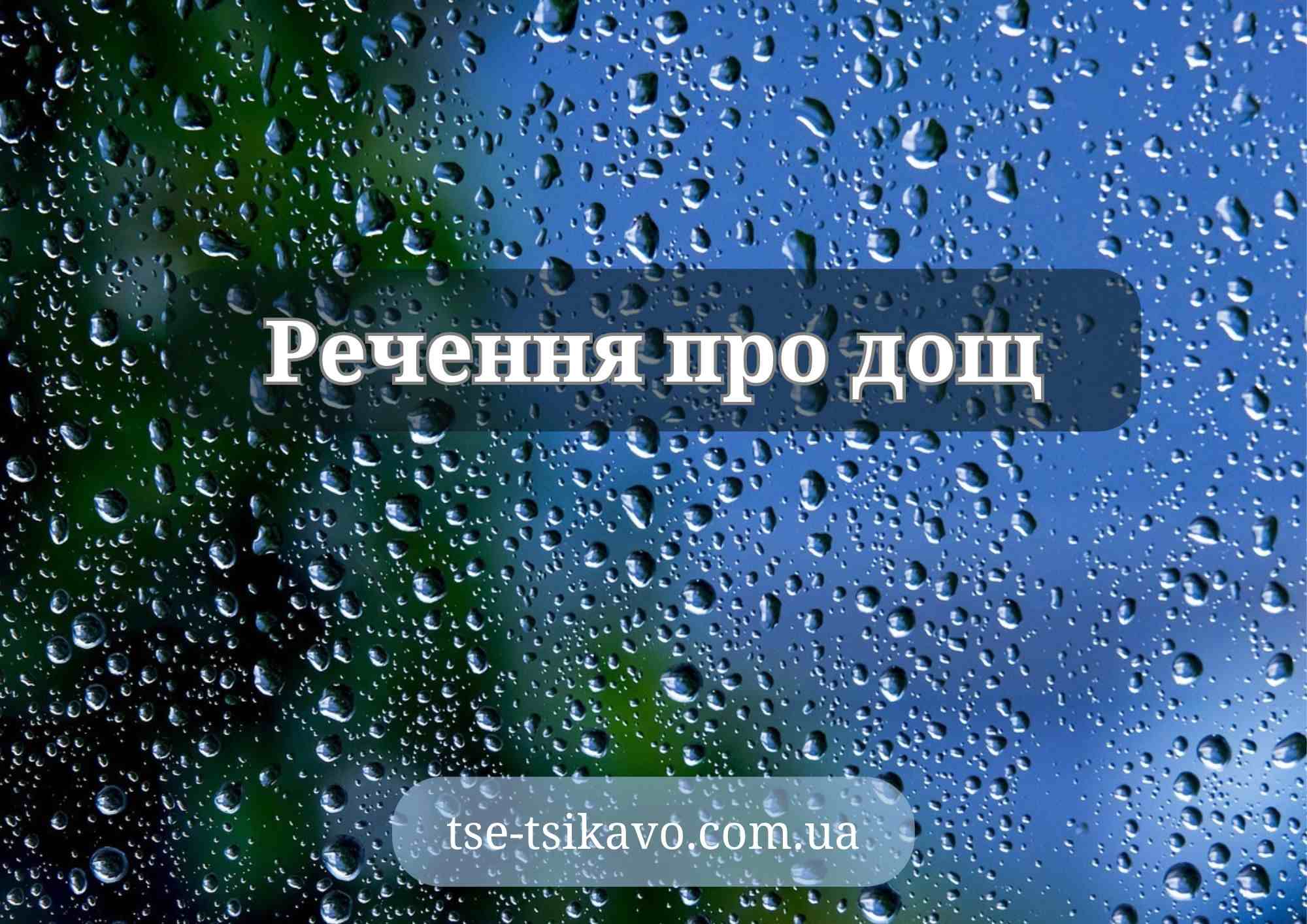 речення про дощ
