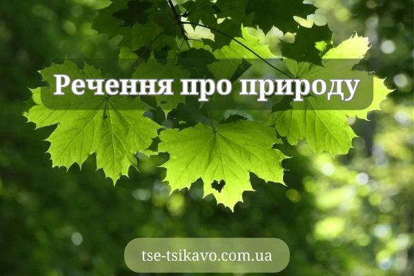речення про природу