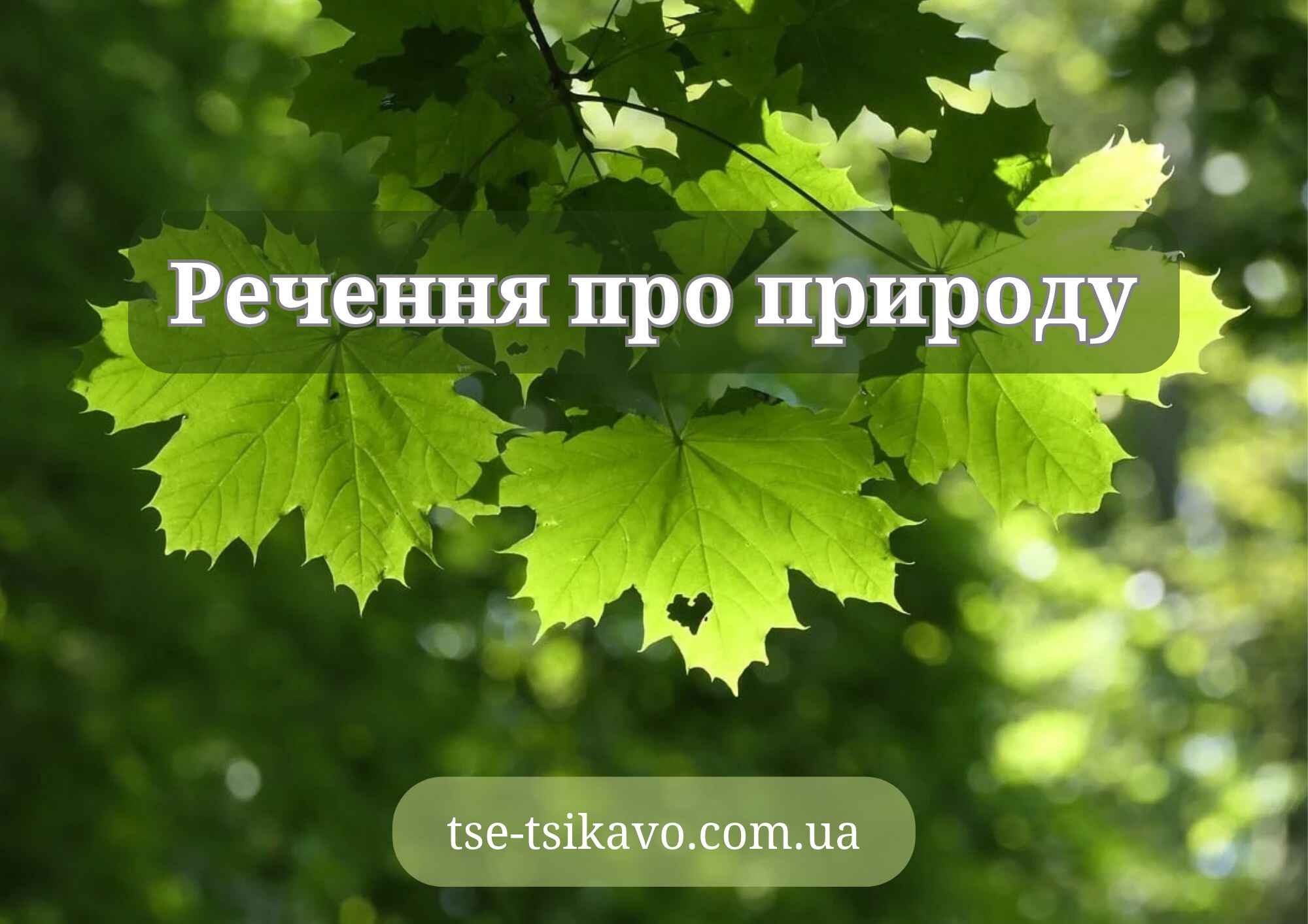 речення про природу